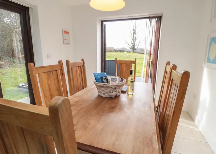 Cinder Warren ويتبي