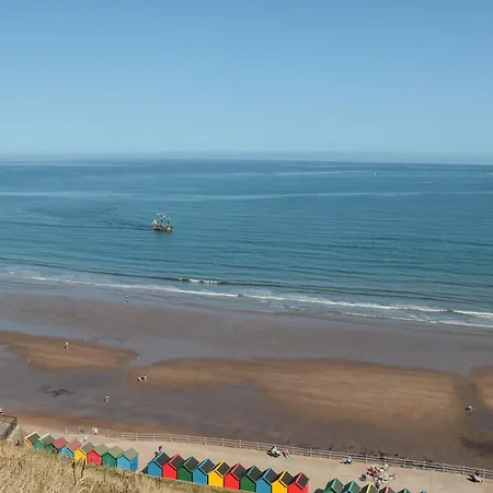 Cinder Warren 휫비